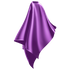 Wahl Polyester 100% Waterproof Cape Purple WP4002PU