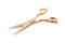 Global Scissors Genesis Lt Rose Gold 5.5 inch Cutting Scissor